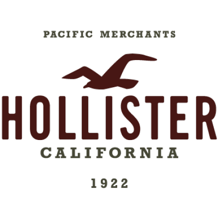Hollister Co. logo
